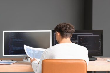 Programista