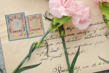 Różowe kwiaty z zielonymi liścmi na tle zaadresowanej koperty ze znaczkami.
