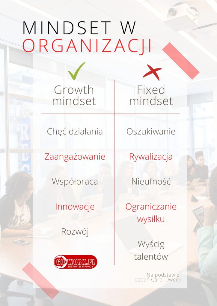 Mindset w organizacjach - porównanie organizacji z fixed mindsetem do organizacji z growth mindsetem