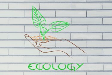 Eco mural