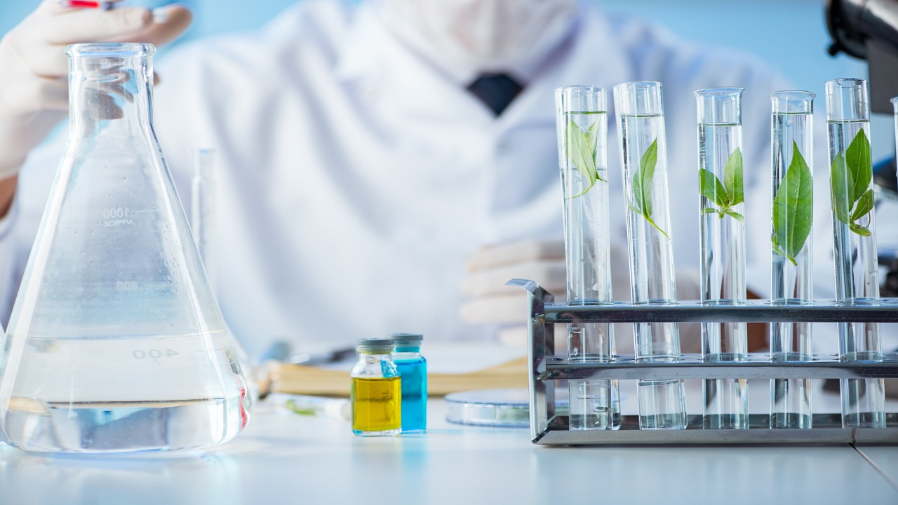 Praca po biotechnologii – co można robić po biotechnologii?
