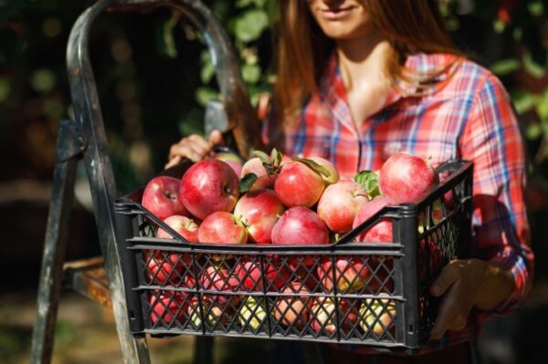 Praca sezonowa w Radomiu - najlepsze oferty z regionu