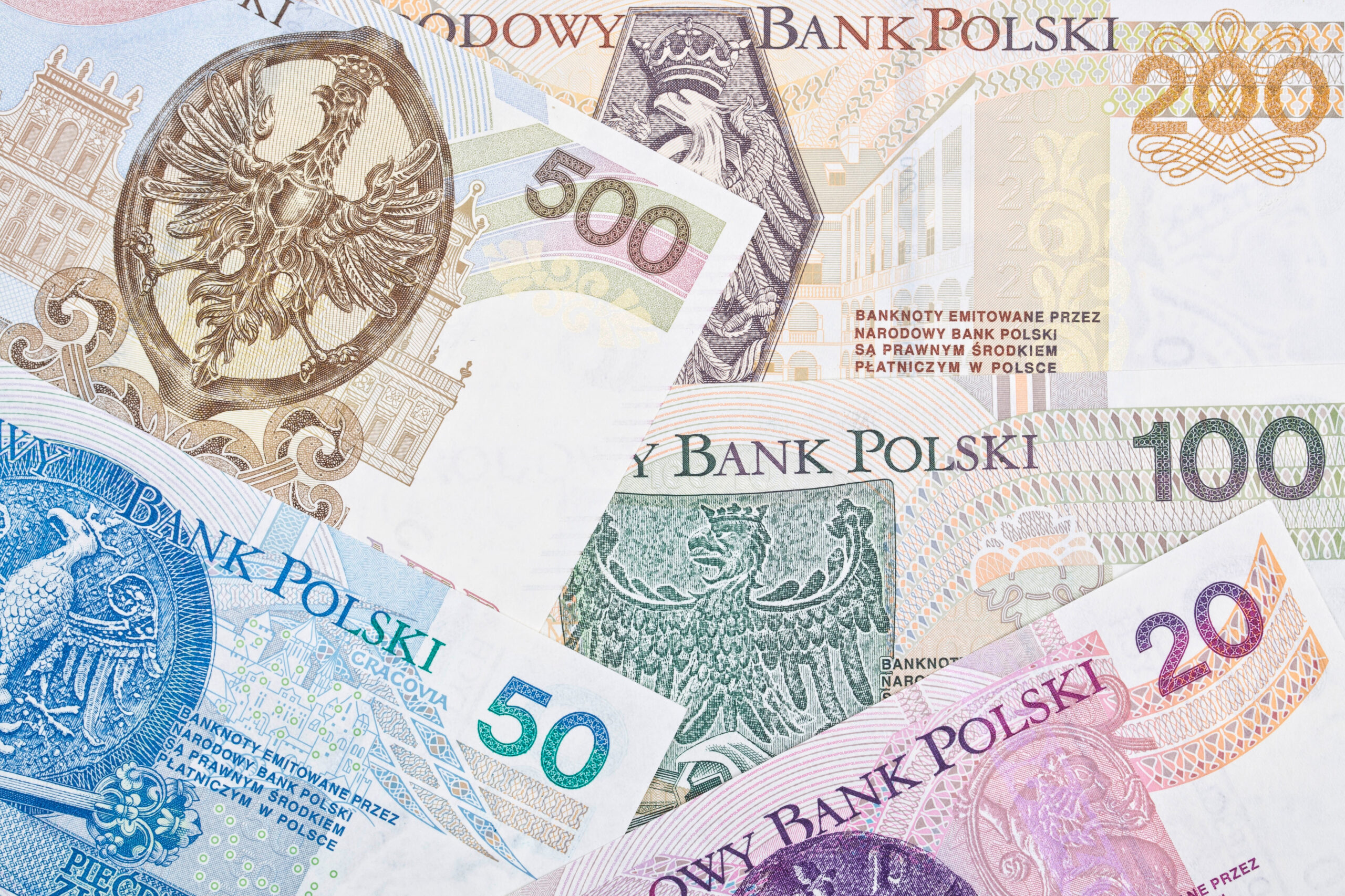 550-zł-dla-każdego