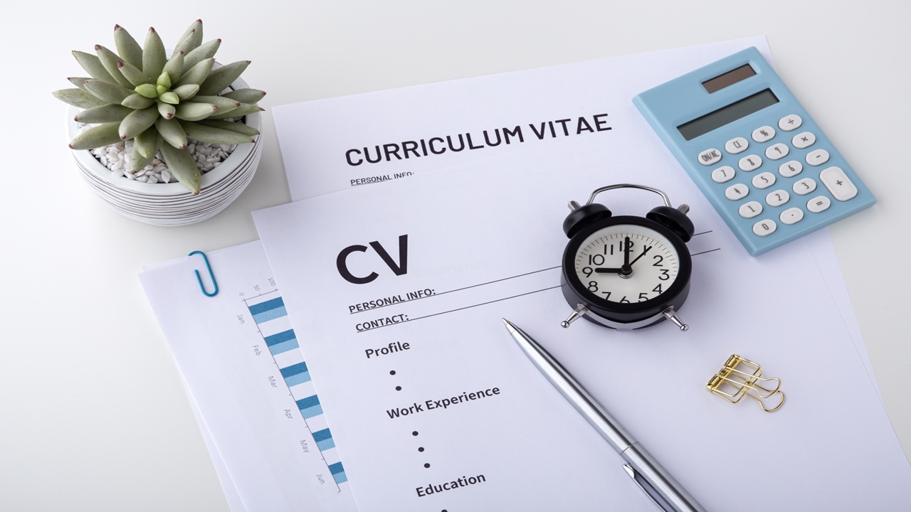 Profesjonalne CV