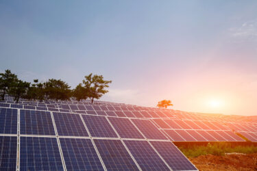 aurora-energy-branza-oze