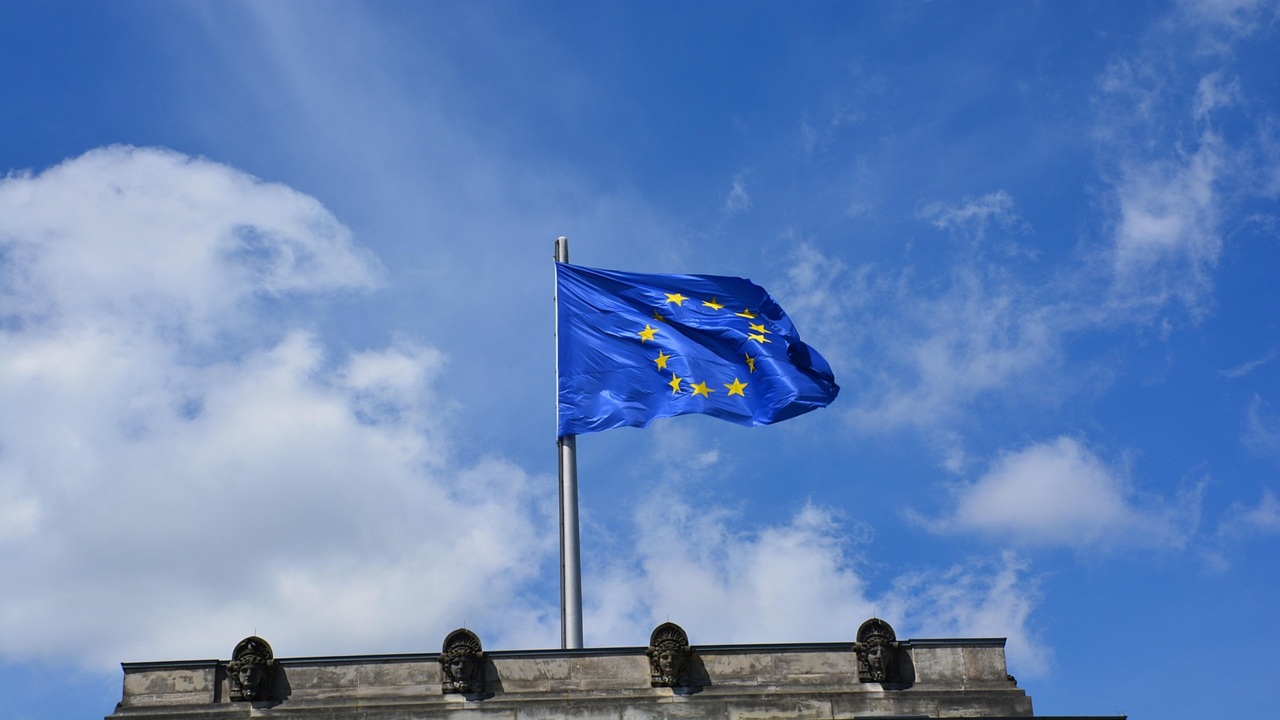 NIP europejski