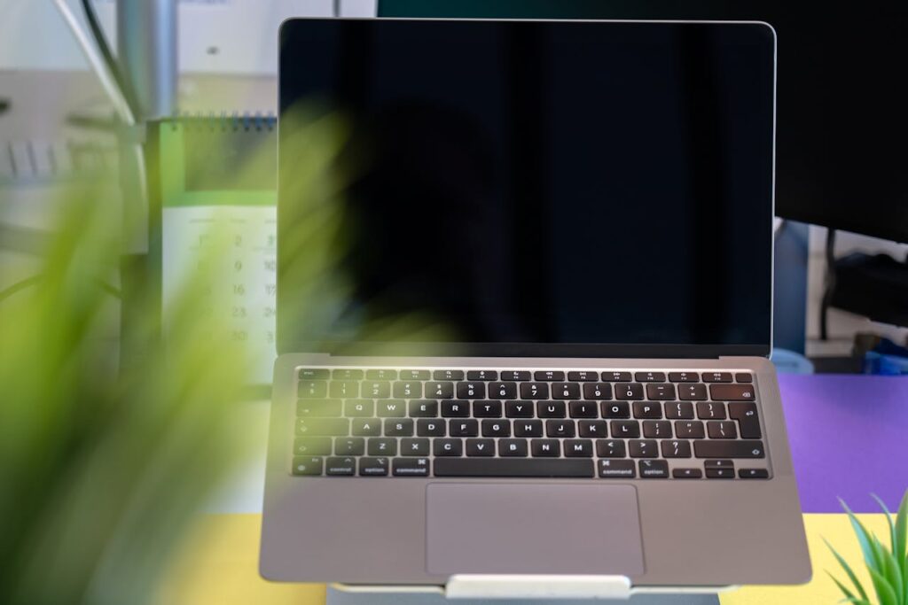 Laptop ukryty za liśćmi - wizualizacja trybu incognito