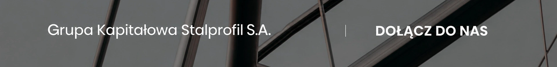 Baner reklamowy