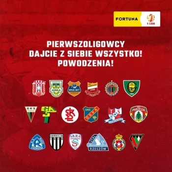 Zdjęcie 6