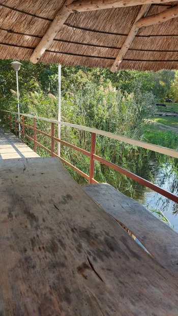 Zdjęcie 4