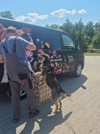 Zdjęcie 1