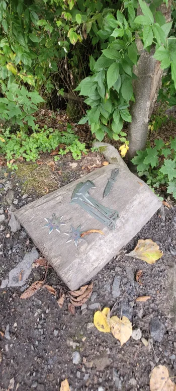 Zdjęcie 6