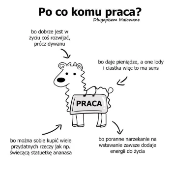 Zdjęcie 0