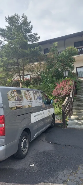 Zdjęcie 3