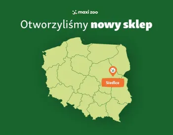 Zdjęcie 1