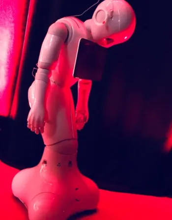 Zdjęcie 3