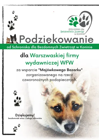 Zdjęcie 0