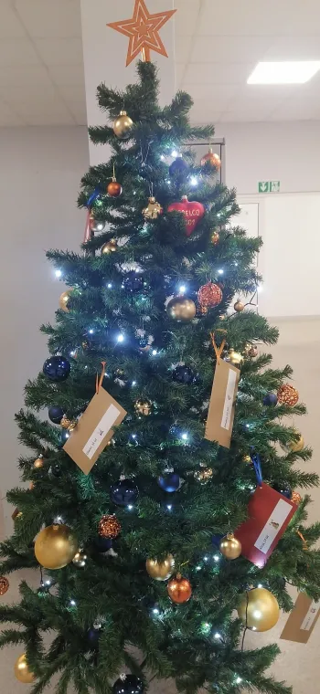 Zdjęcie 0