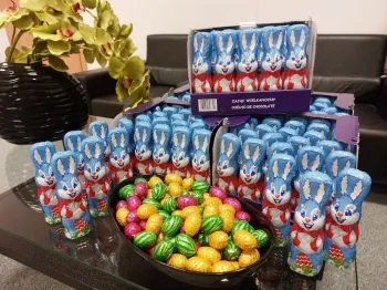 Zdjęcie 0
