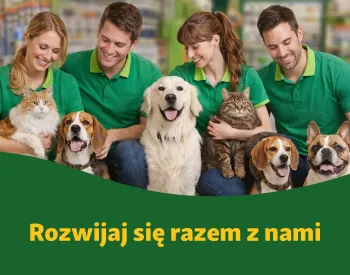 Zdjęcie 0
