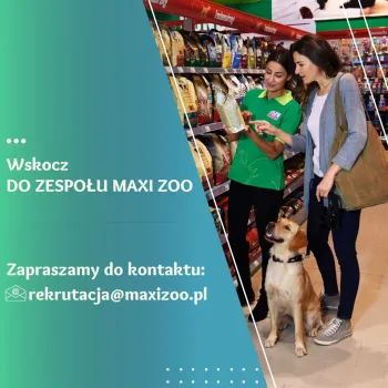Zdjęcie 0