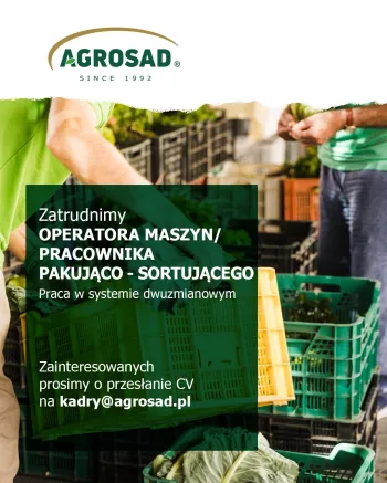 Zdjęcie 1