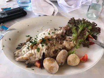 Zdjęcie 1