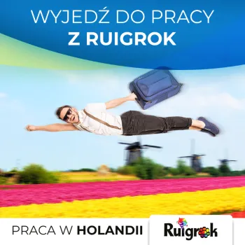 Zdjęcie 0