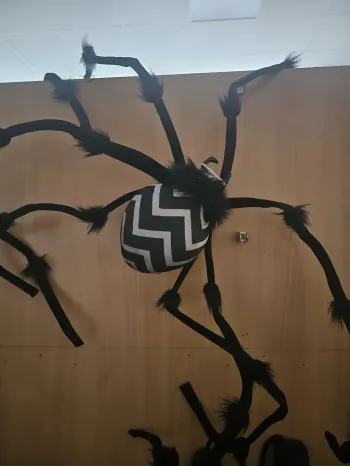Zdjęcie 1