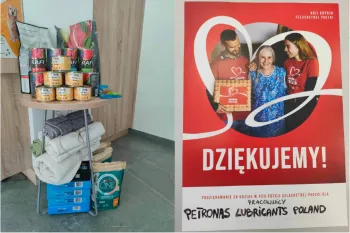 Zdjęcie 1