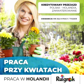 Zdjęcie 0
