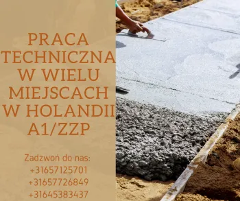 Zdjęcie 0