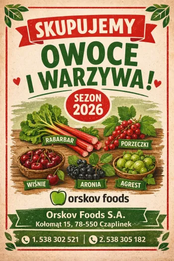 Zdjęcie 0