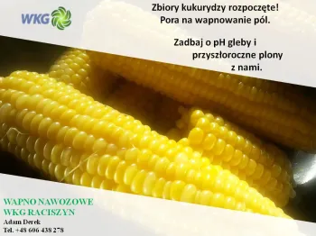 Zdjęcie 0