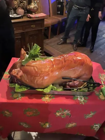 Zdjęcie 23