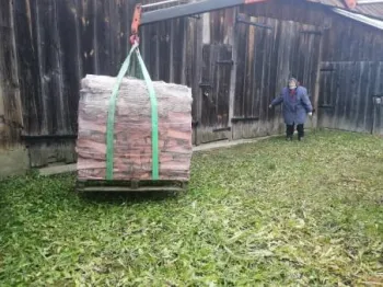 Zdjęcie 1
