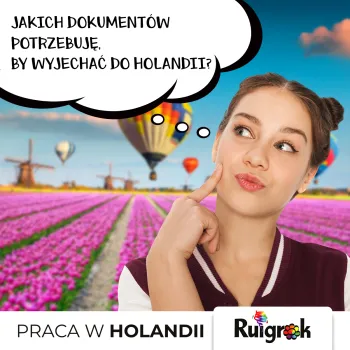 Zdjęcie 0