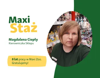 Zdjęcie 0