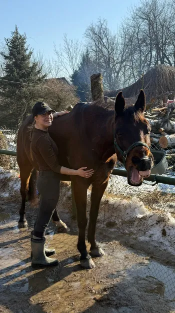 Zdjęcie 0