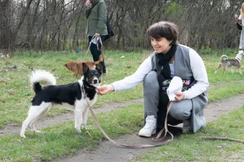 Zdjęcie 1