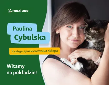 Zdjęcie 0