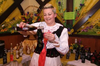 Zdjęcie 41