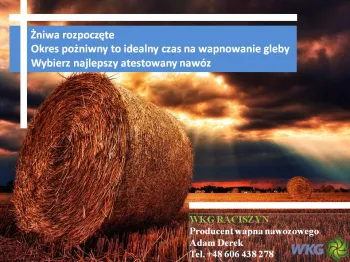 Zdjęcie 0