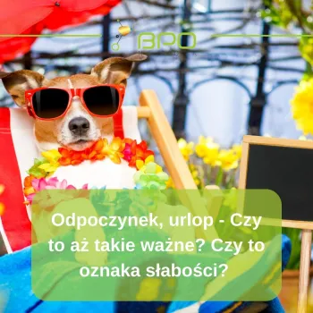 Zdjęcie 0