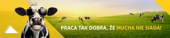Zdjęcie 0