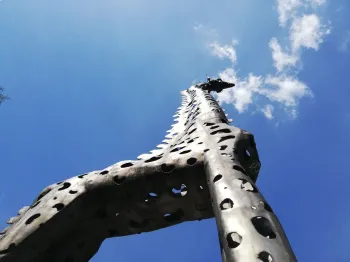 Zdjęcie 3