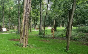 Zdjęcie 5