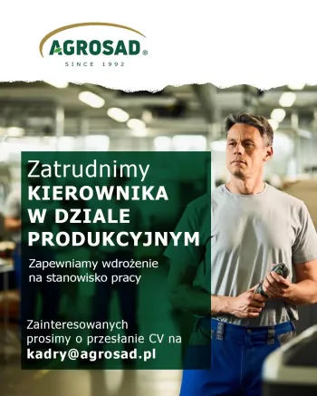 Zdjęcie 0