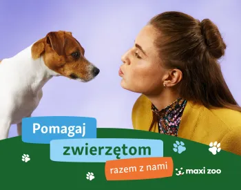 Zdjęcie 0
