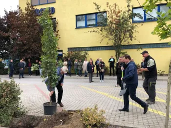 Zdjęcie 1